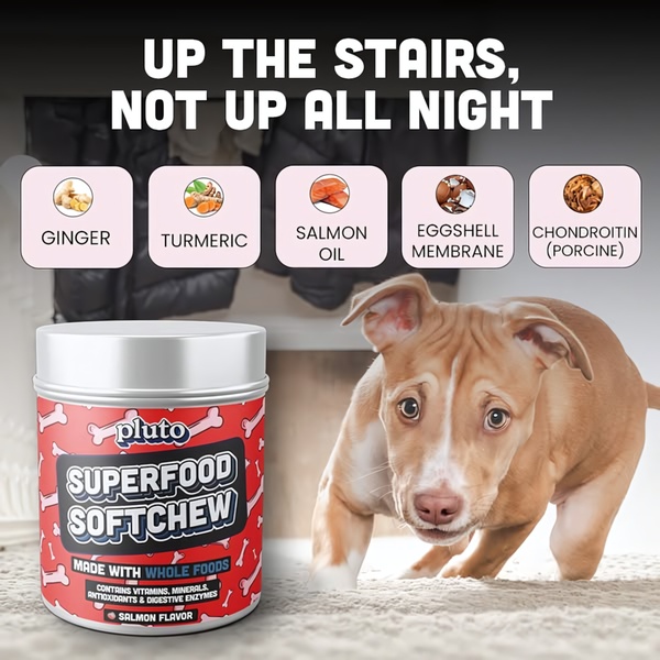 A square format social media ad featuring a dog and a list of natural ingredients to highlight the health benefits of a joint support supplement.